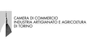 camera_commercio_torino